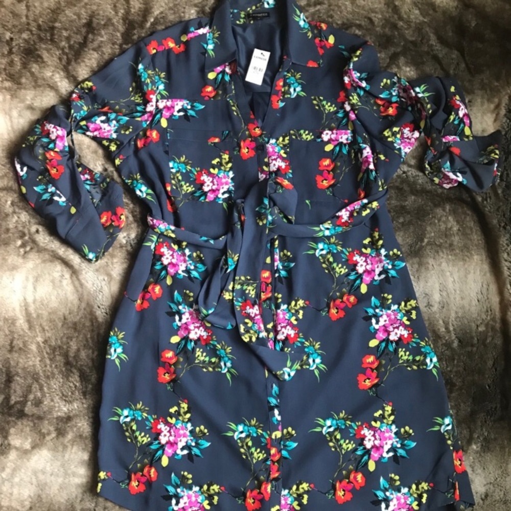 ISO desperately seeking this Express Dress